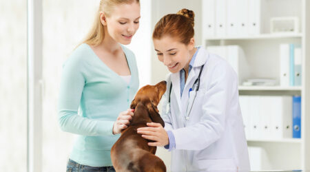 4 pet care mistakes to avoid