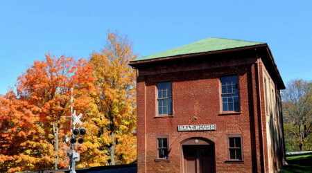 7 tips for avoiding house sitting disasters