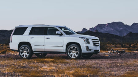 Rental rates for Cadillac SUVs across top agencies