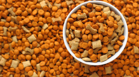 10 Cat Food Deals to Look Out for on Black Friday 2023