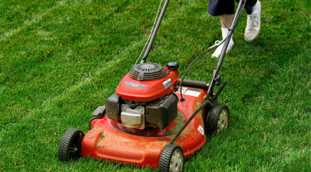 6 tips for maintaining a lush green lawn